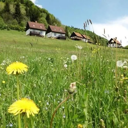 Ferienhaus In Green Valley Park 4 Дом отдыха *