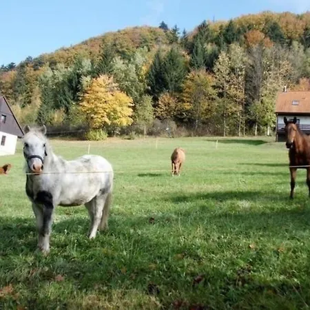 Дом отдыха Ferienhaus In Green Valley Park 4 Starkov (Hradec Kralove)
